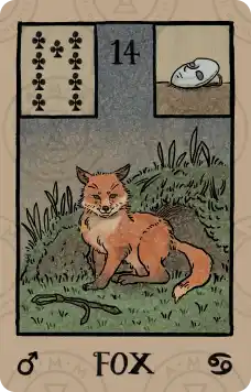 雷诺曼牌意解读：狐狸