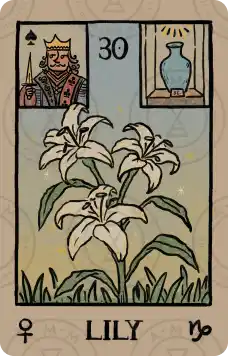 雷诺曼牌意解读：百合花