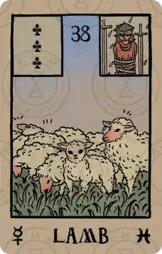 雷诺曼牌意解读：羔羊