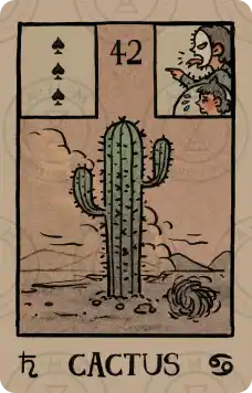 雷诺曼牌意解读：仙人掌