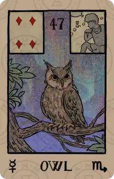 雷诺曼牌意解读：猫头鹰