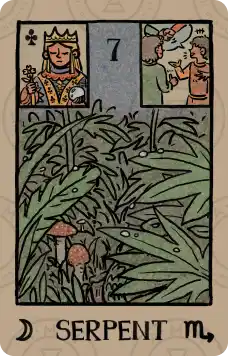 雷诺曼牌意解读：蛇