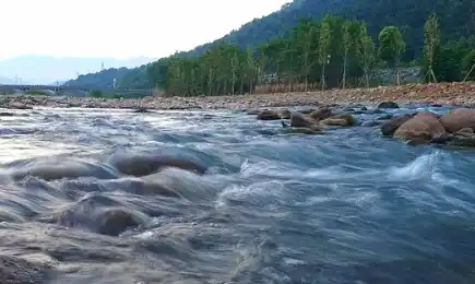 八字格局——井栏叉格是什么意思？